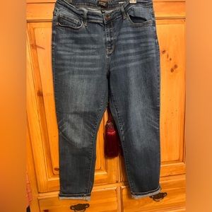 Judy Blue size 13/31 no distress